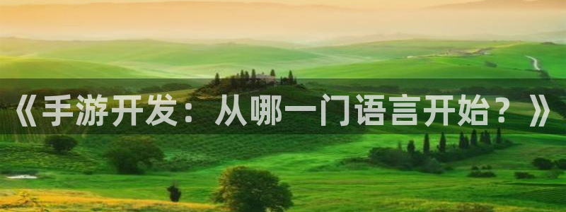 巅峰国际注册：《手游开发：从哪一门语言开始？》