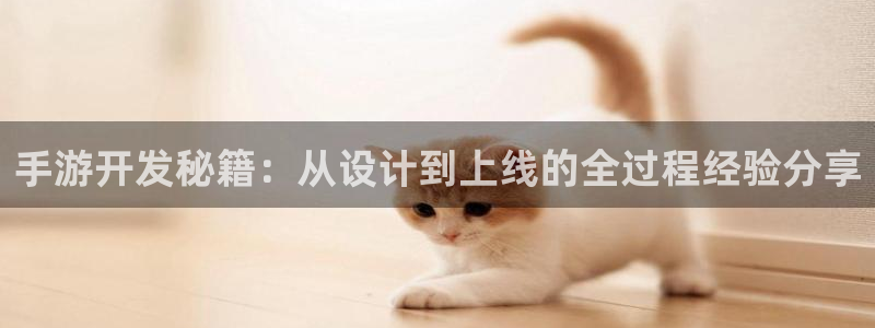 巅峰国际登录：手游开发秘籍：从设计到上线的全过程经验分享