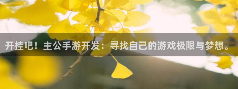 巅峰国际登录：开挂吧！主公手游开发：寻找自己的游戏极限与梦想