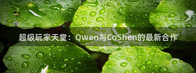 巅峰国际：超级玩家天堂：Qwen与CoShen的最新合作