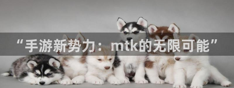 巅峰国际注册：“手游新势力：mtk的无限可能”