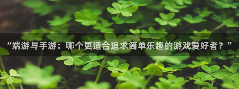 巅峰国际官网：“端游与手游：哪个更适合追求简单乐趣的游戏爱好