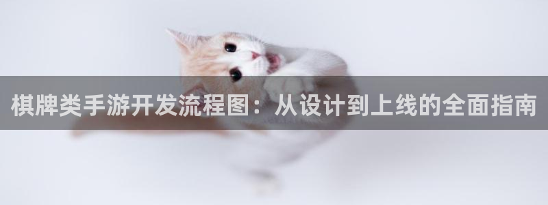 巅峰国际app：棋牌类手游开发流程图：从设计到上线的全面指南