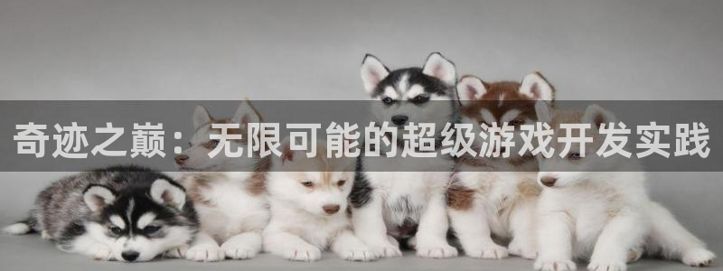 巅峰国际首页