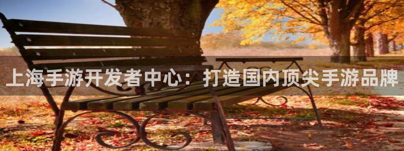 巅峰国际注册：上海手游开发者中心：打造国内顶尖手游品牌