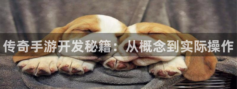 巅峰国际：传奇手游开发秘籍：从概念到实际操作