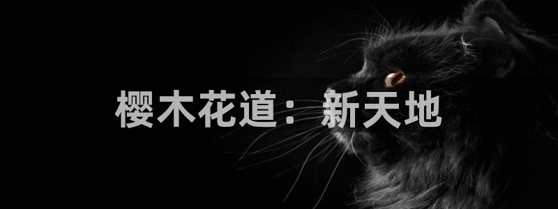 巅峰国际注册:樱木花道:新天地