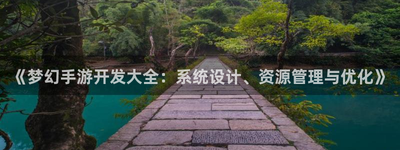 巅峰国际app：《梦幻手游开发大全：系统设计、资源管理与优化