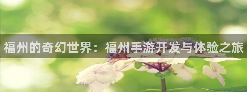 巅峰国际登陆：福州的奇幻世界：福州手游开发与体验之旅