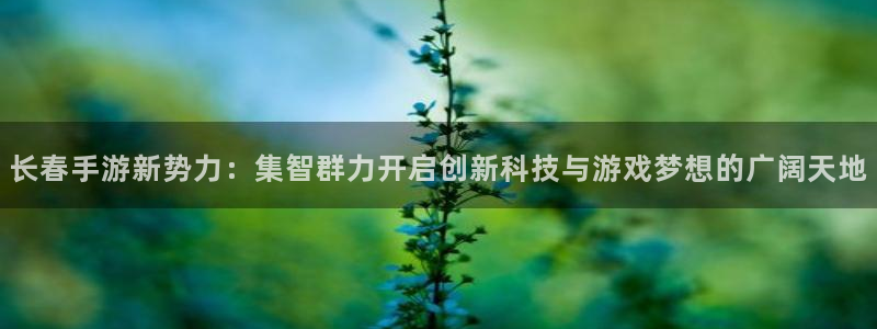 巅峰国际注册：长春手游新势力：集智群力开启创新科技与游戏梦想