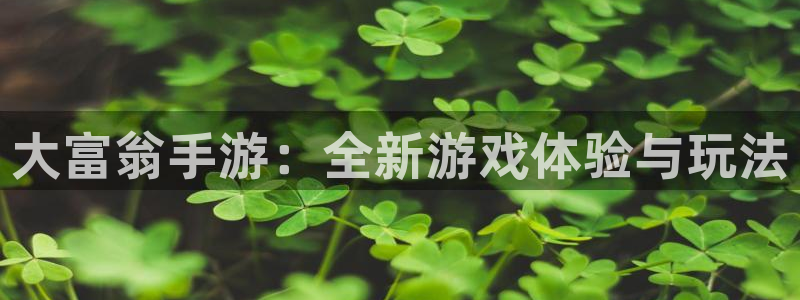 巅峰国际登陆：大富翁手游：全新游戏体验与玩法