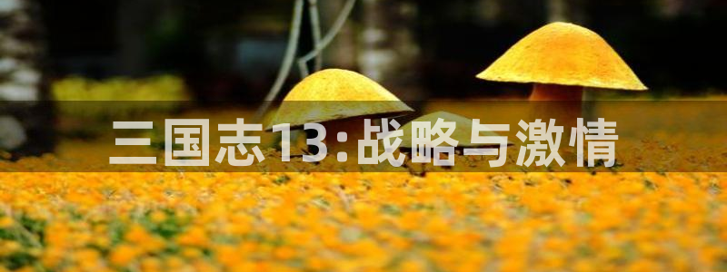 巅峰国际app：三国志13:战略与激情